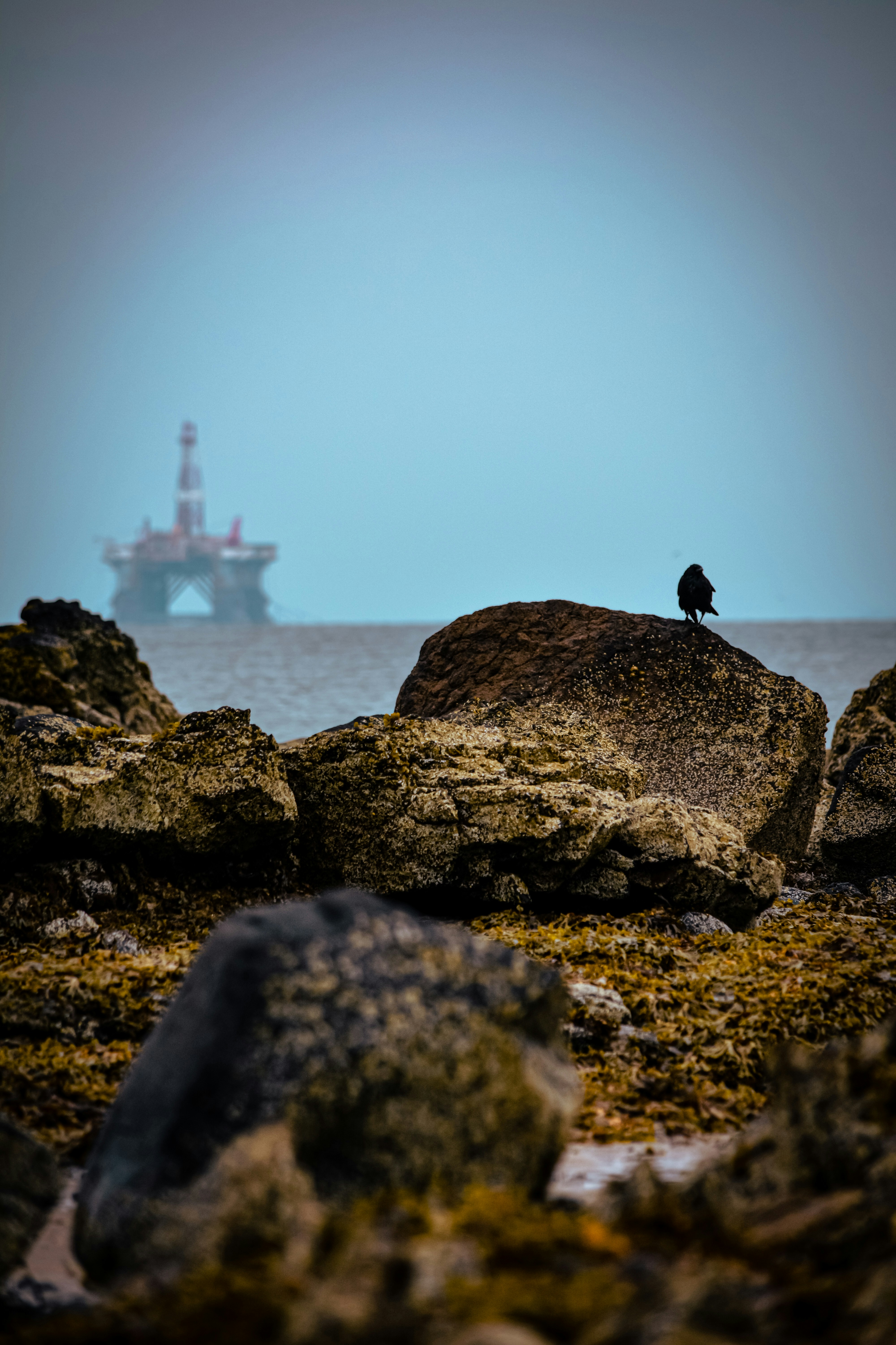 Offshore Drilling